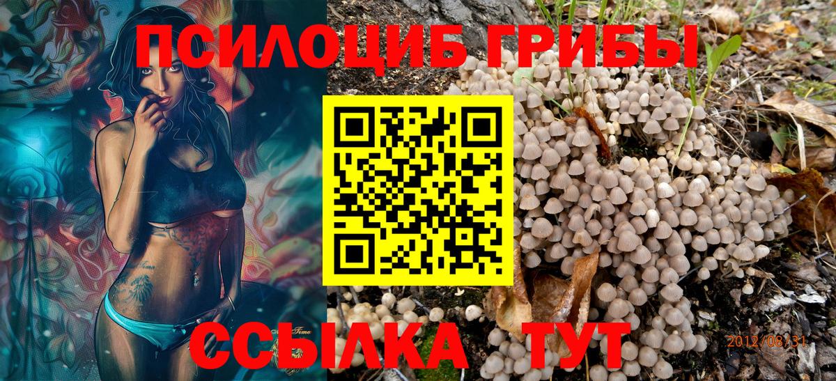 Галлюциногенные грибы GOLDEN TEACHER  Вход с VPN  Вятские Поляны  закладки  Галлюциногенные грибы Magic Shrooms 